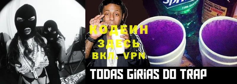 Кодеин Purple Drank  где продают   Катайск 