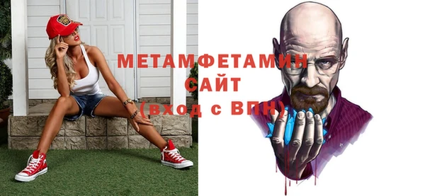 шишки Медвежьегорск