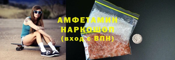 шишки Медвежьегорск