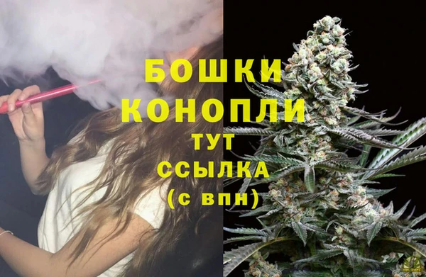СК Мегион