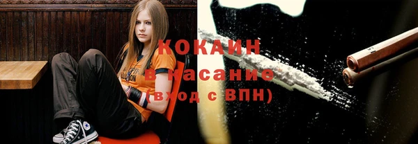 spice Медногорск