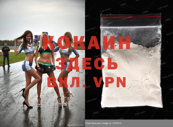 шишки Медвежьегорск