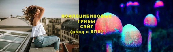 СК Мегион