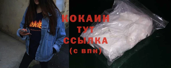 шишки Медвежьегорск