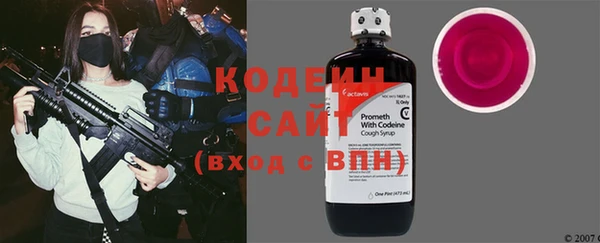 шишки Медвежьегорск