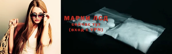 шишки Медвежьегорск