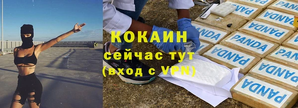 шишки Медвежьегорск