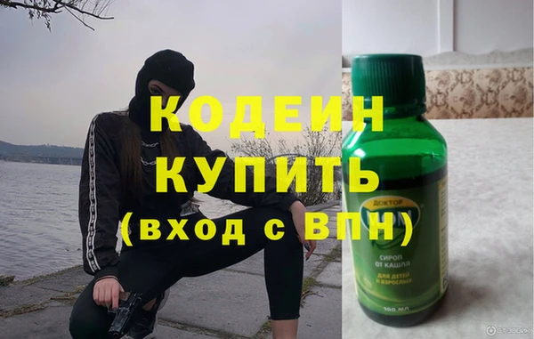 шишки Медвежьегорск