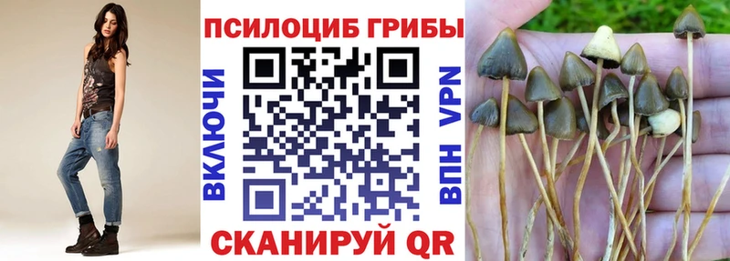 где найти   Катайск  Галлюциногенные грибы ЛСД 
